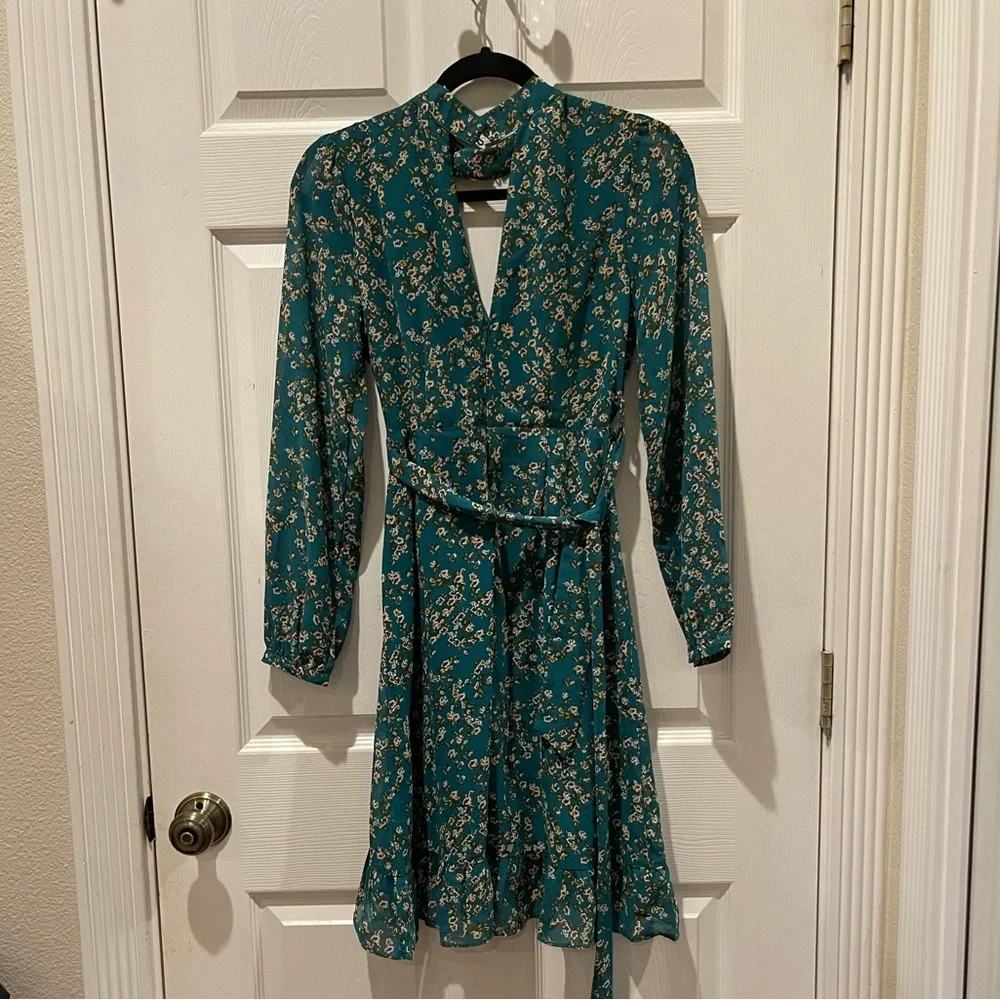 Sandy & Co. Green Floral Dress - Picture 4 of 7
